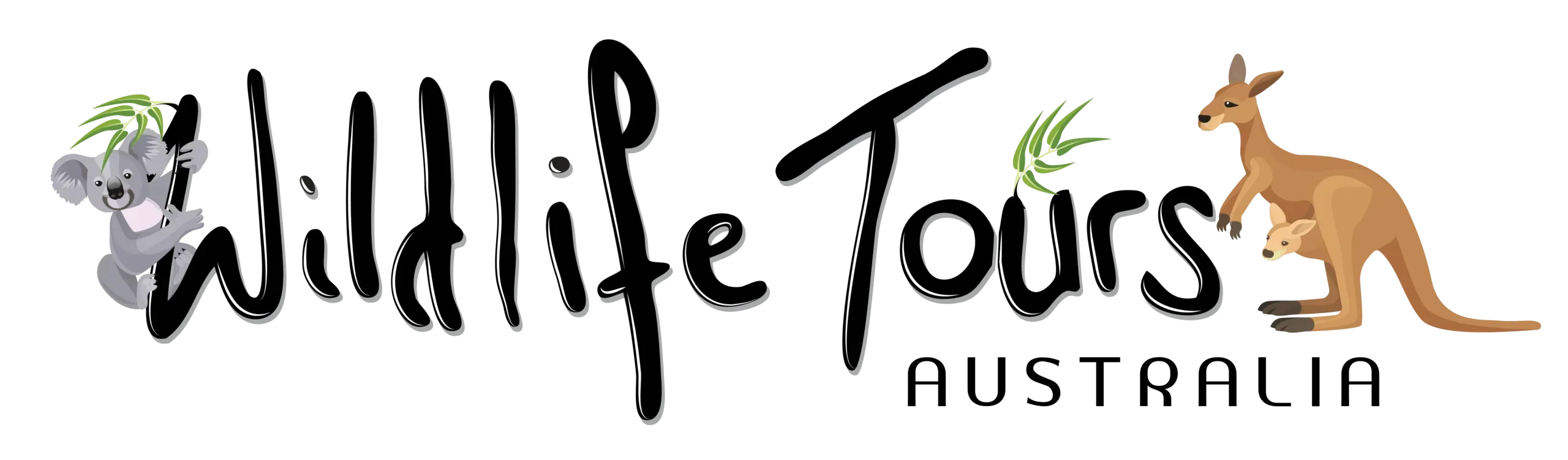 Wildlife Tours